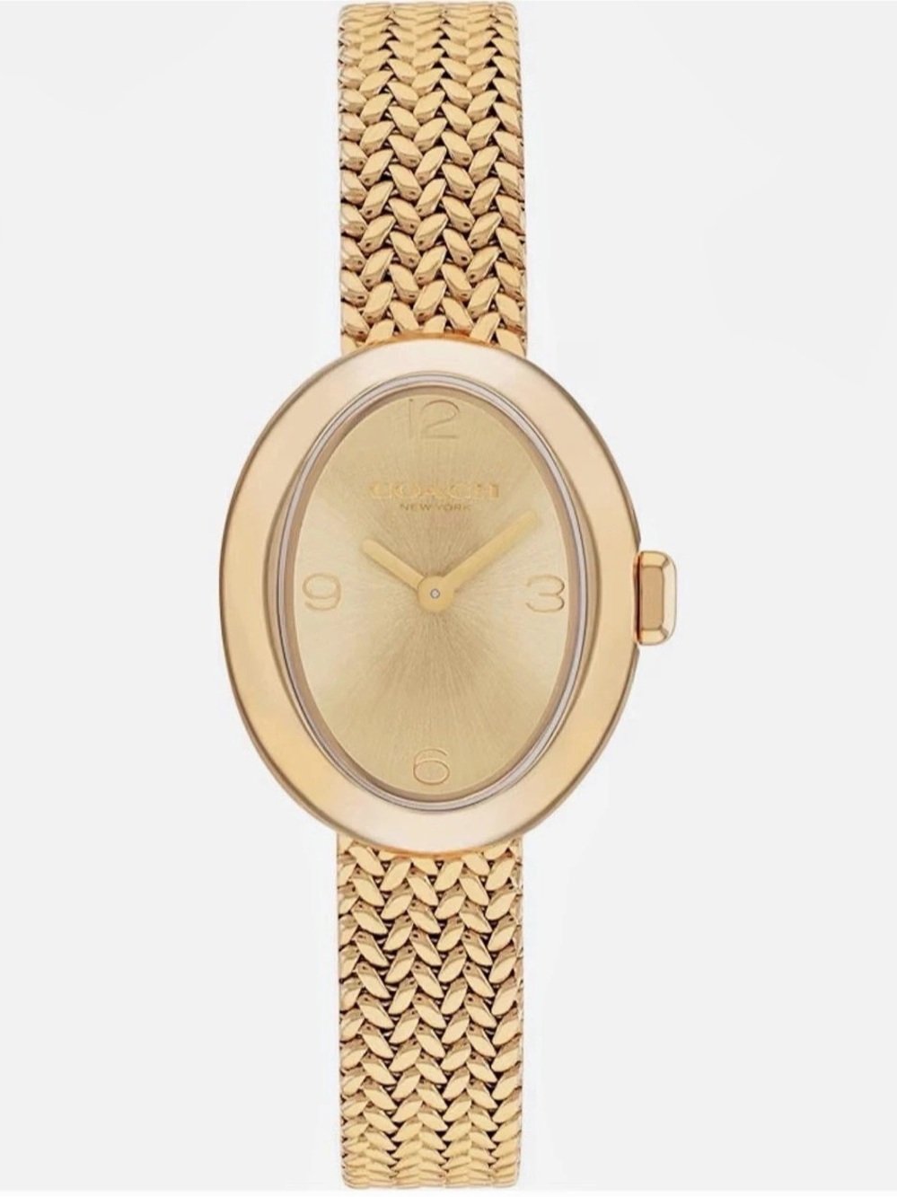 Coach Women's Sammy 2H Quartz Watch, 22.5 mm Petite Oval Case, Gold Plated BNIB